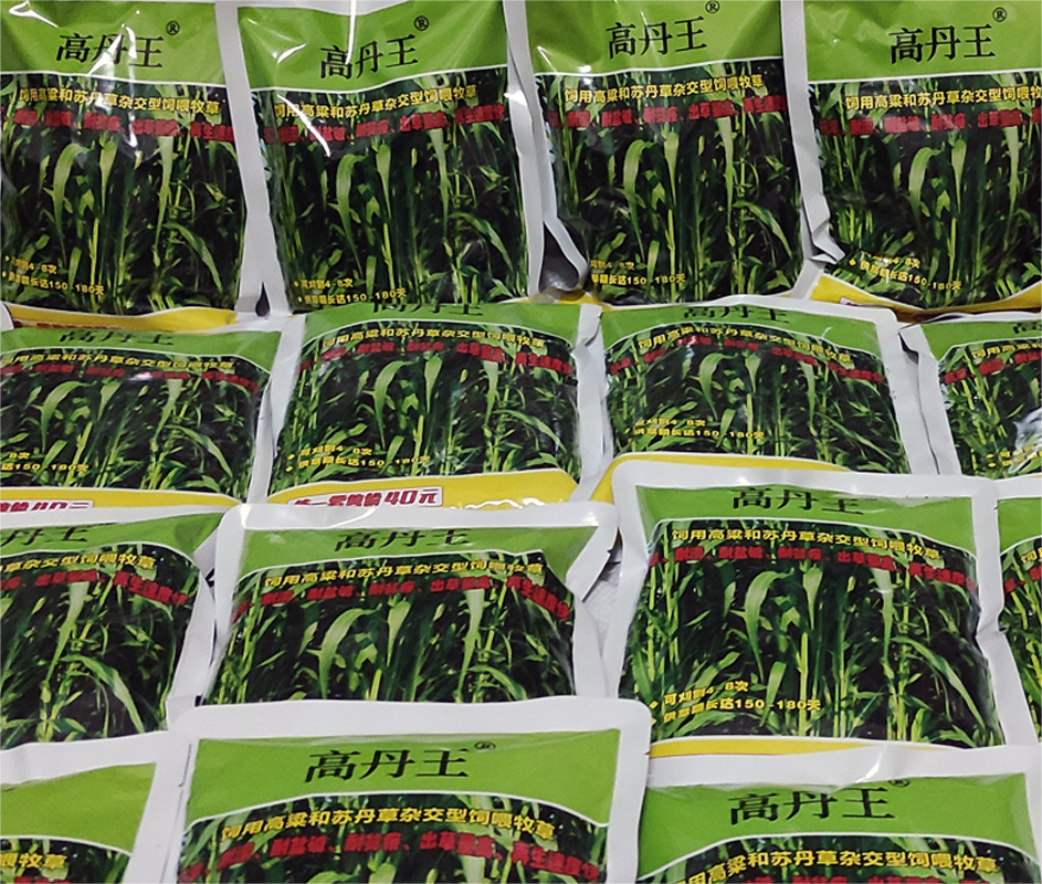 高丹王系列牧草品種